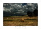campagna campagna