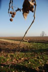 la campagna la campagna