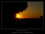 CATTURATO CATTURATO