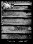 Solitudine Solitudine