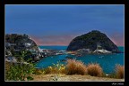 Omaggio alla Vita Omaggio alla Vita