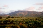 panorama panorama