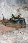 scarpe scarpe
