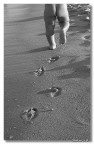 Vado via... Vado via...
