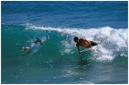 Surfing... Surfing...