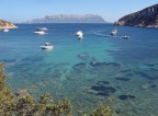 Mare Mare