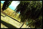 Omaggio a Monet.. Omaggio a Monet..