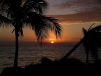 Alba Cubana Alba Cubana