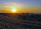Campagna al tramonto Campagna al tramonto