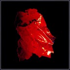 foglia v e r n i c e  rossa