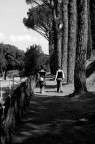 lungo il viale... lungo il viale...