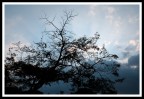 controluce1 controluce1