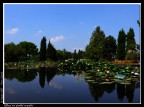 I giardini acquatici del Parco sigurt�