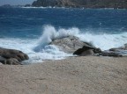 Capo Testa Capo Testa