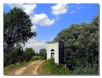 paesaggio Mantovano paesaggio Mantovano