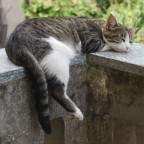 Ecco come si riposa un vero guerriero