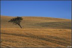 Andando Via... (Campagne di Berchidda) Andando Via... (Campagne di Berchidda)