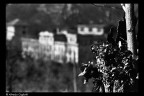 Il ricordo... Il ricordo...