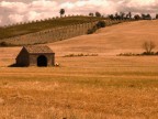 fienile toscano fienile toscano