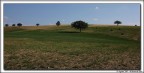 Colline umbre Colline umbre