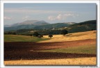 Colline Colline