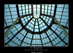 Il ragno Il ragno