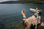 Tuffo 1 Tuffo 1
