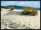 dune di PortoPino dune di PortoPino