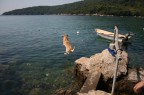 Tuffo 2 Tuffo 2