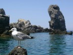 Faraglioni.....