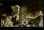 *Castellum Pedrensis* *Castellum Pedrensis*