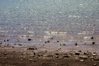 mare mare