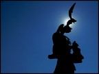 david controluce david controluce