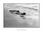 Naufragio Naufragio