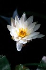 Dal buio alla luce Dal buio alla luce