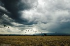 Volo sulla campagna Umbra Volo sulla campagna Umbra