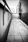 on the roof (ancora) on the roof (ancora)