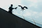L'aquila e il falconiere