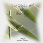 [Reportage] Una Mattina alla Riserva Tevere Farfa...