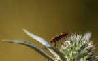 Una fotina senza troppe pretese Una fotina senza troppe pretese