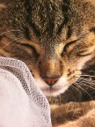 Sonno Profondo . . . Sonno Profondo . . .