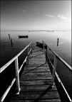 Verso fragili orizzonti Verso fragili orizzonti
