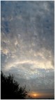 .: cielo a pecorelle :. .: cielo a pecorelle :.
