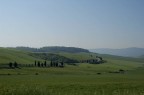 Colline senesi Colline senesi