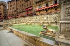 SIENA SIENA