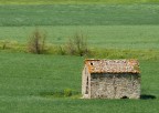 in solitudine! in solitudine!