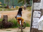 bici2 bici2