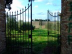 "The heaven door.... "The heaven door....