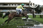 Ippodromo di Maia Merano (Bz) Foto G. Zaccone Ippodromo di Maia Merano (Bz) Foto G. Zaccone