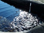 Fontana Fontana